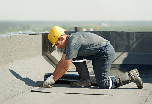 Best Insulation Maintenance and Repair in Prosperity, SC
